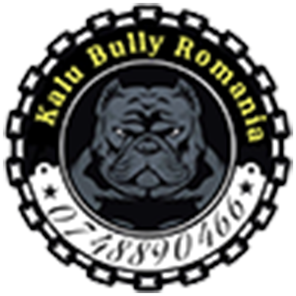 Read more about the article Realizare site web : www.kalubullyromania.ro